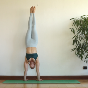 handstands for beginners